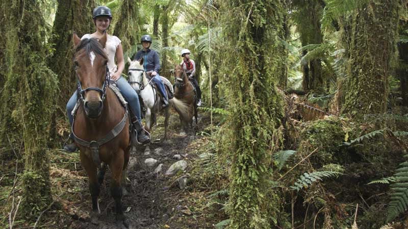 Experience the sheer beauty of the Franz Josef Glacier region on horseback with a 1.5 hour trek brought to you by Glacier Country Horses.